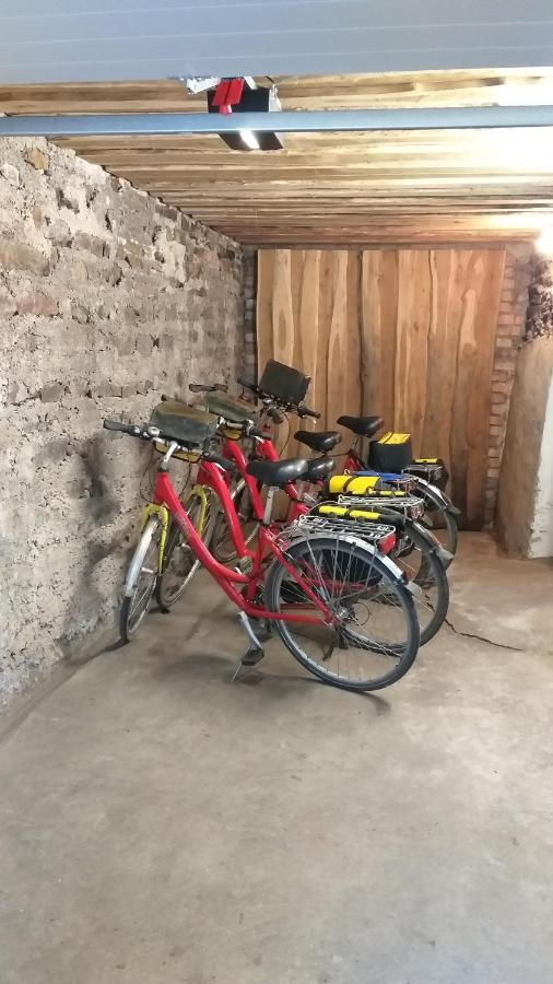 Moselina Gaestezimmer Sankt Aldegund Bagian luar foto