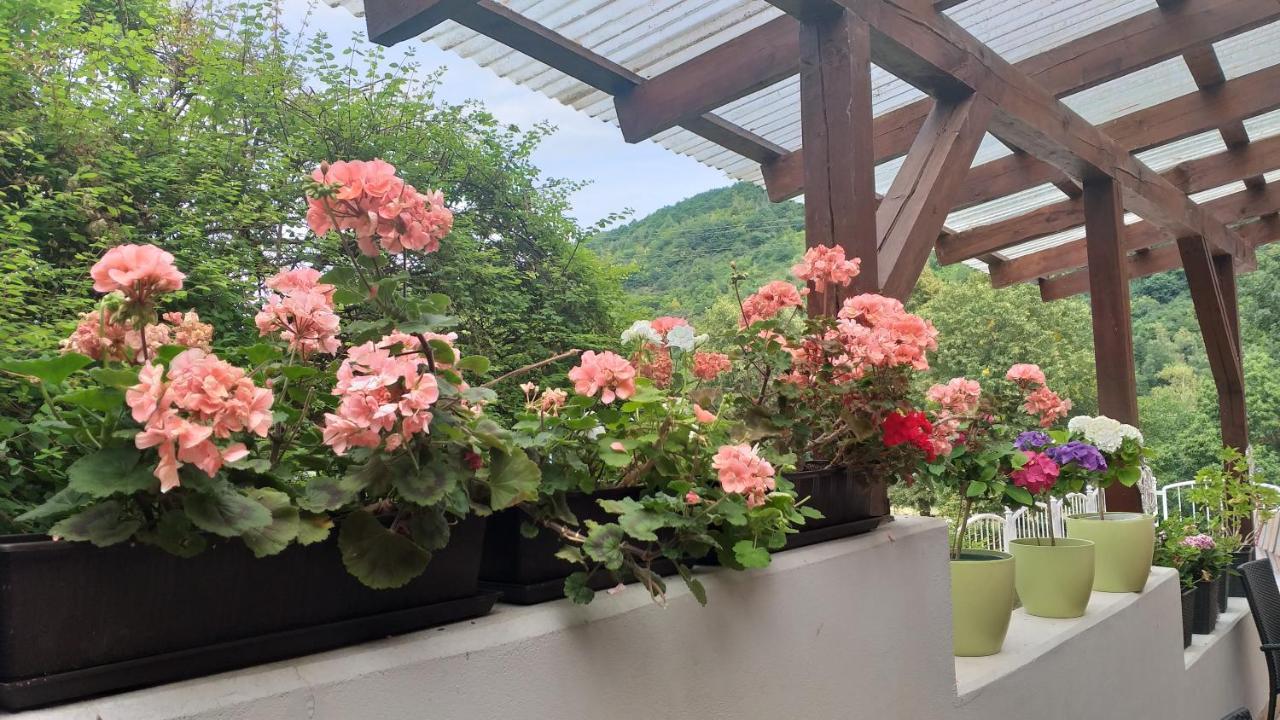 Moselina Gaestezimmer Sankt Aldegund Bagian luar foto