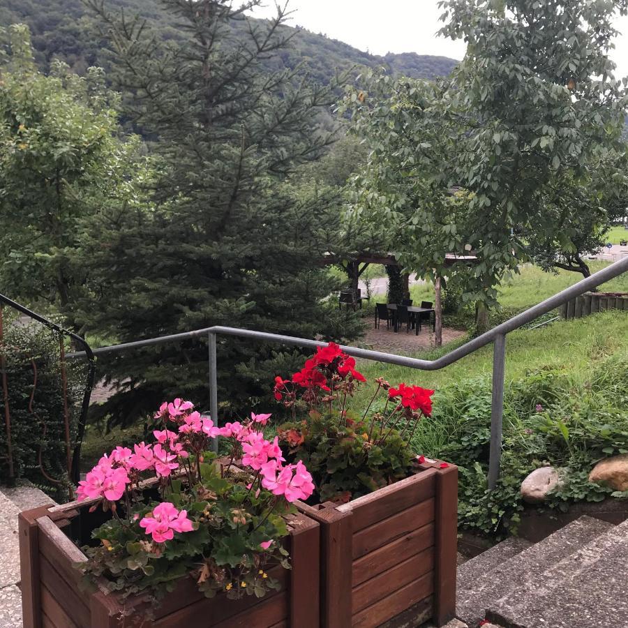 Moselina Gaestezimmer Sankt Aldegund Bagian luar foto