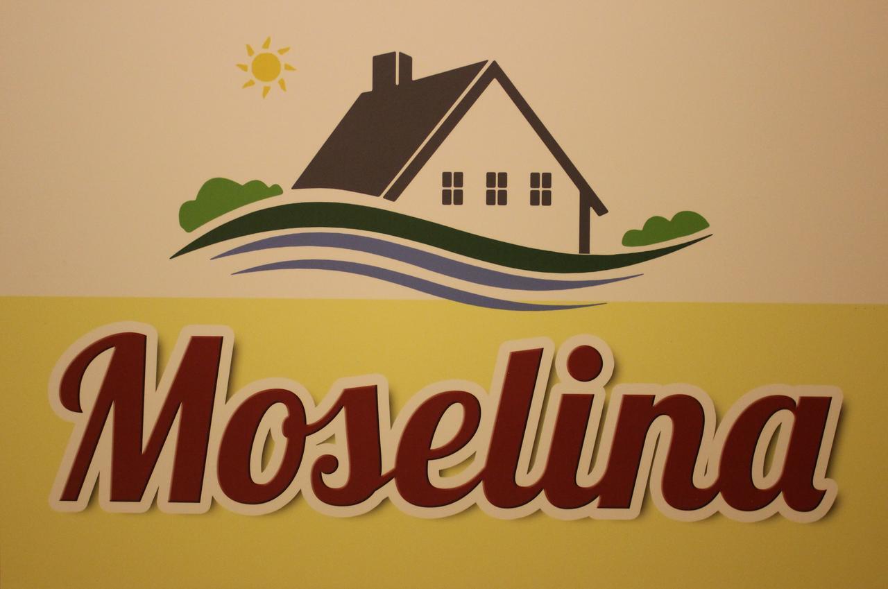 Moselina Gaestezimmer Sankt Aldegund Bagian luar foto