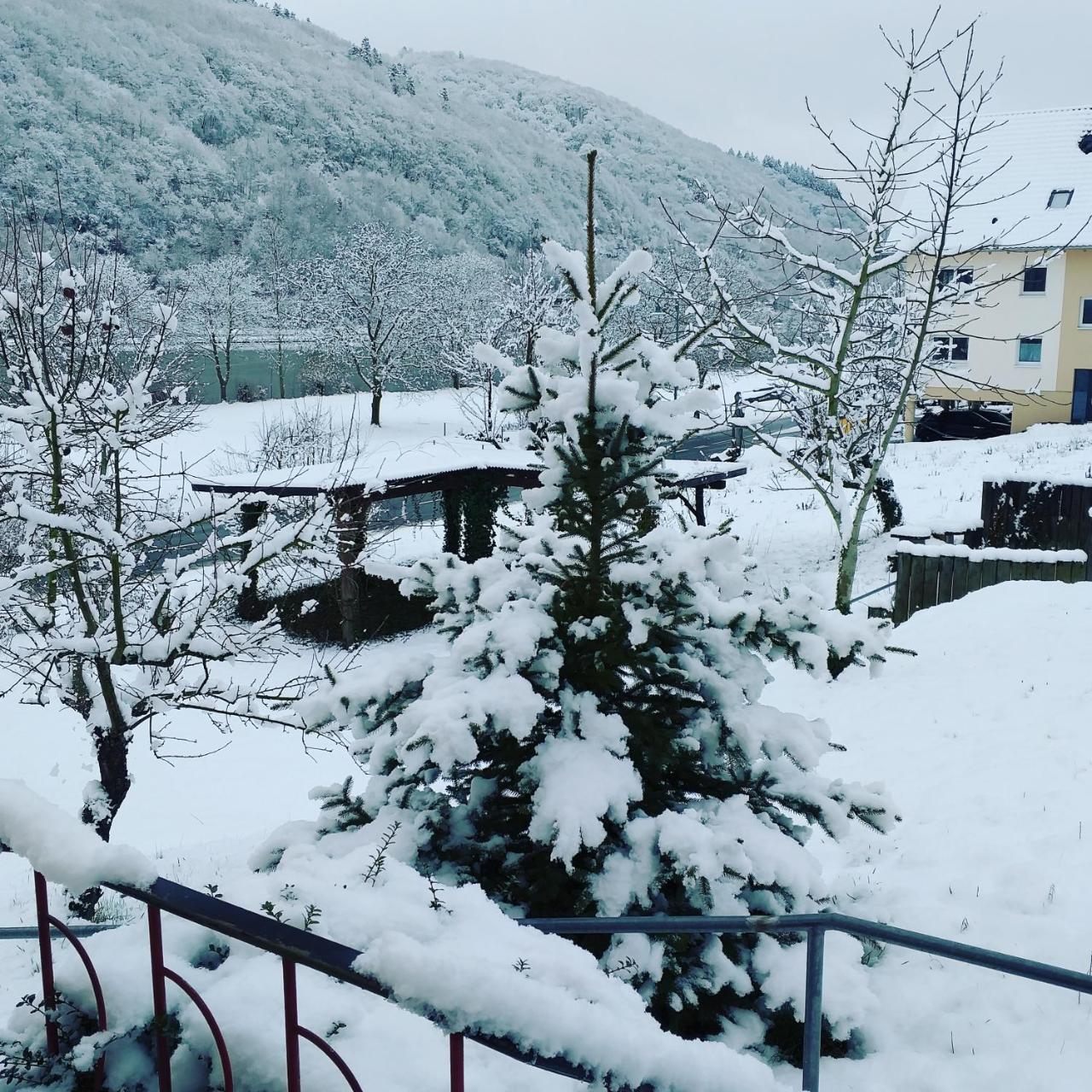 Moselina Gaestezimmer Sankt Aldegund Bagian luar foto
